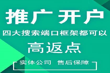 某品牌通过SEM关键词实现品牌推广的实战案例